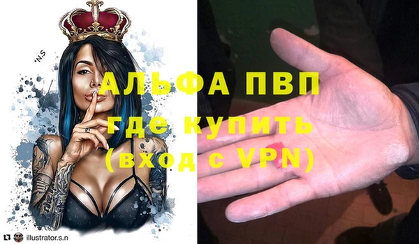 винт Абаза