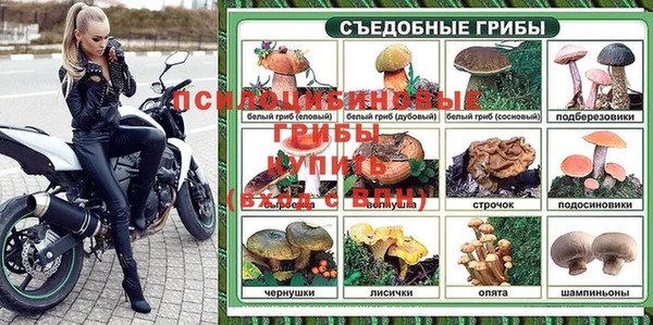 стафф Абинск